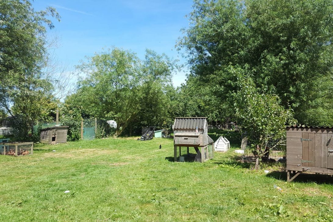 Bed and Breakfast in Norfolk Bed and Breakfast Willow Barn in Norfolk
